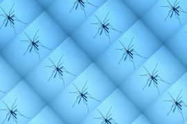 Des moustiques installés sur un mur bleu