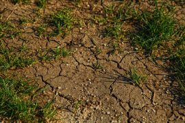 terrain avec de la terre et de l'herbe