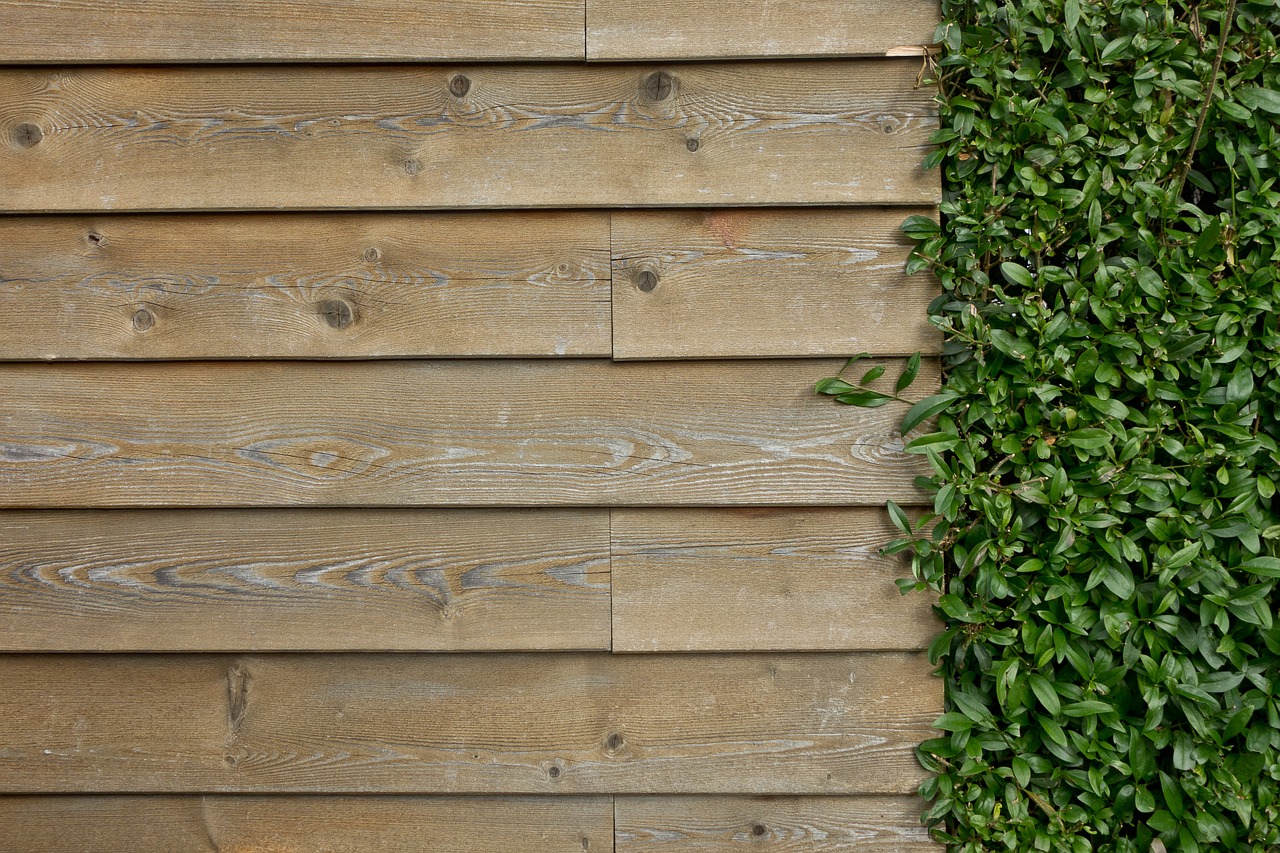 mur en bois